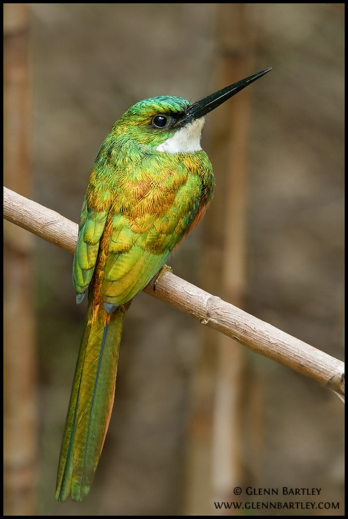 Trinidad and Tobago